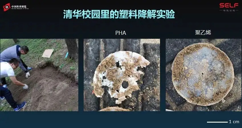 生物可降解塑料降解机理与不同的降解环境下的降解能力(图1)